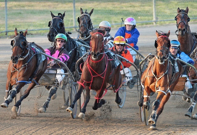 harness racing canberra