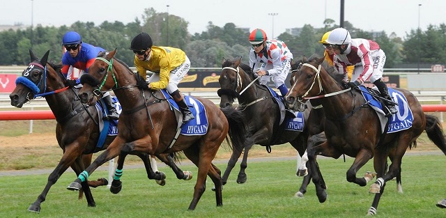 horse racing canberra