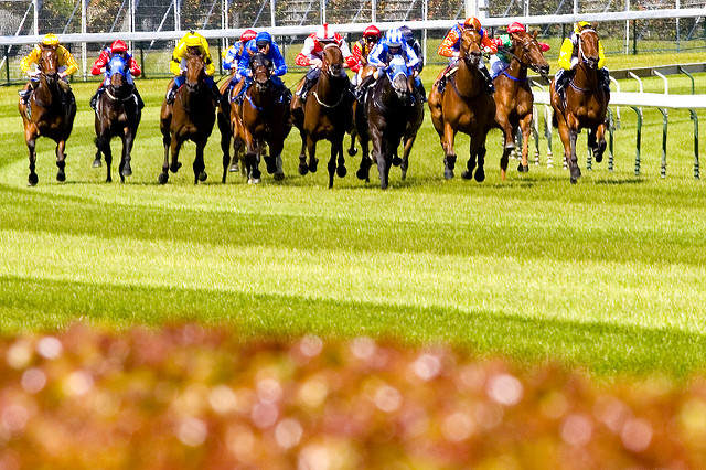 Caulfield Cup Aussie horse racing events