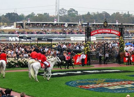 victoria derby horse racing australia
